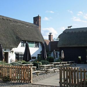 The Red Cow